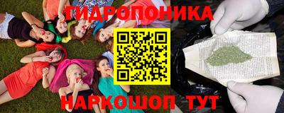 МДПВ Тула