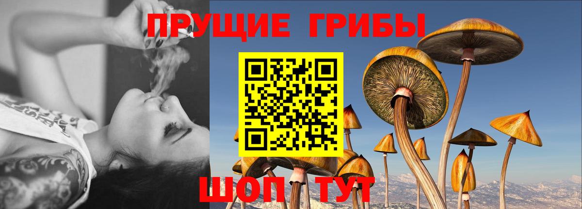 Аргун  Галлюциногенные грибы Magic Shrooms  Вход с VPN  Псилоцибиновые грибы прущие грибы 