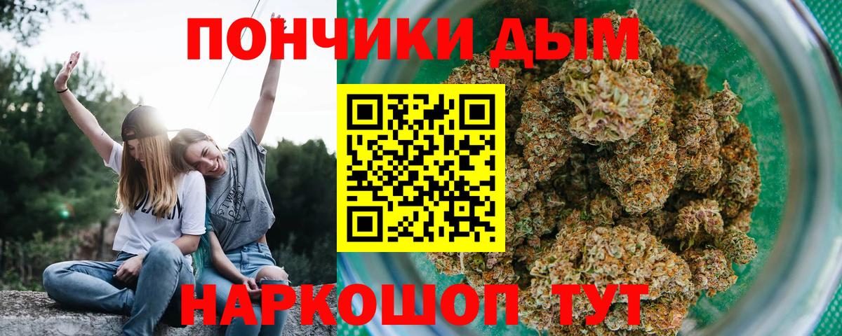 Аргун  Шишки марихуана индика  Бошки марихуана план  Канабис план  Вход с VPN 
